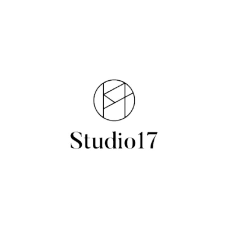 STUDIO17 Concealer Brush Spot Concealer 474