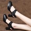 Fashion 2025 Women's Shoes Closed Toe Women's Sandals Summer Elegant Dress Sandals Women Buckle Strap Shallow Shoes Chunky Heels Female