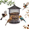 Bird Feeder for Outdoors Hanging, Wild Bird Feeders with Metal Mesh, Squirrel Proof Birdfeeder,4.3lb Retractable Seed Feeder,6 Perches for Bluebird,