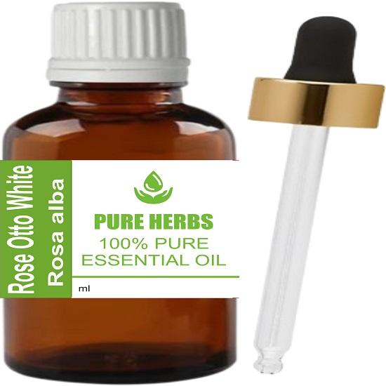Pure Herbs White Rose Otto (Rosa × Alba L.)Essential Oil EPJ210