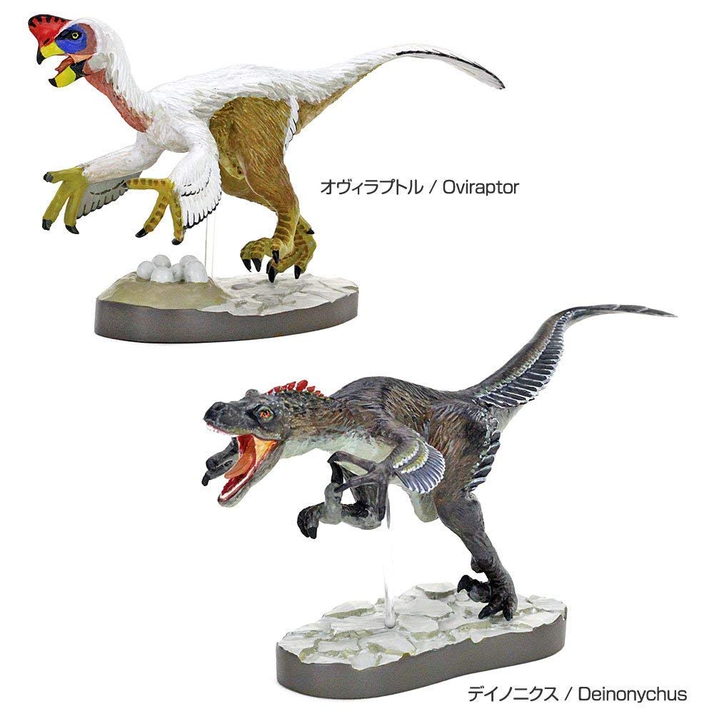 Dinosaure à plumes Calorata Encyclopédie 3D Inclut un Manuel et une Figurine Réaliste Figures Éducatives Loi sur l'Assainissement Alimentaire Cadeau, (7 Dinosaures, Support),