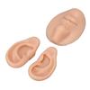 Silicone Ear Model Novice Simulated 3D Nose and Mouth Model Display Prop Teaching Tool for Piercing Practice