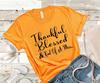 Thankful Blessed & Kind of a Mess  Fall Shirt Thanksgiving Autumn Shirt Unisex T-Shirt