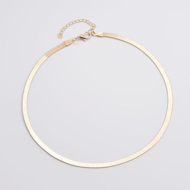Simple Snake Bone Chain Women's Necklace: Cross-Border Fashion, Versatile and Niche Design