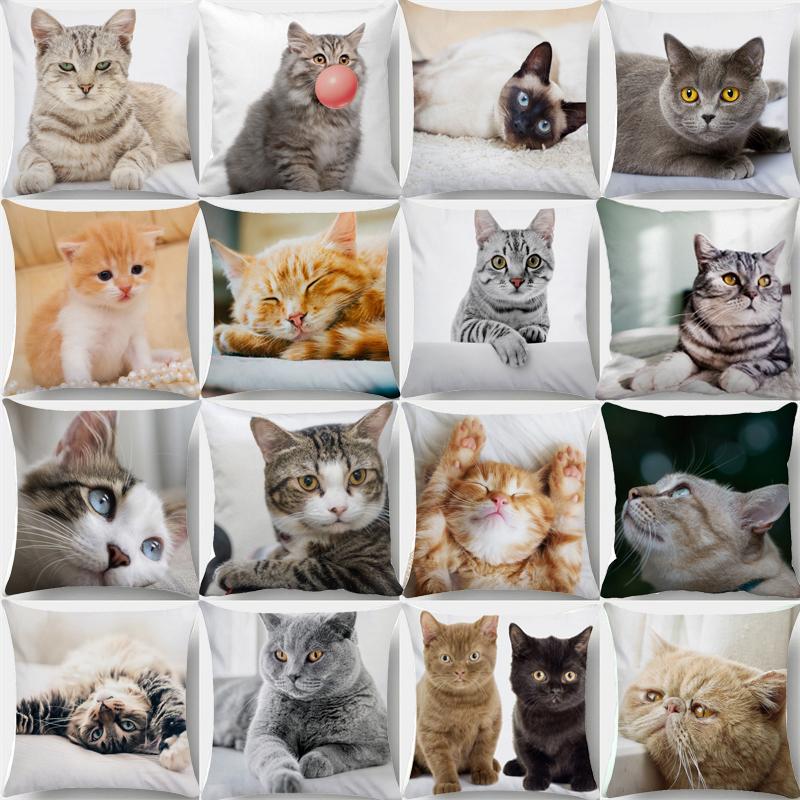 Simpatico Cuscino Gatto Domestico Dormire Bolla Nero Regalo Bambini Fodera Cuscino Divano Soggiorno Decorazione Casa Personalizzato