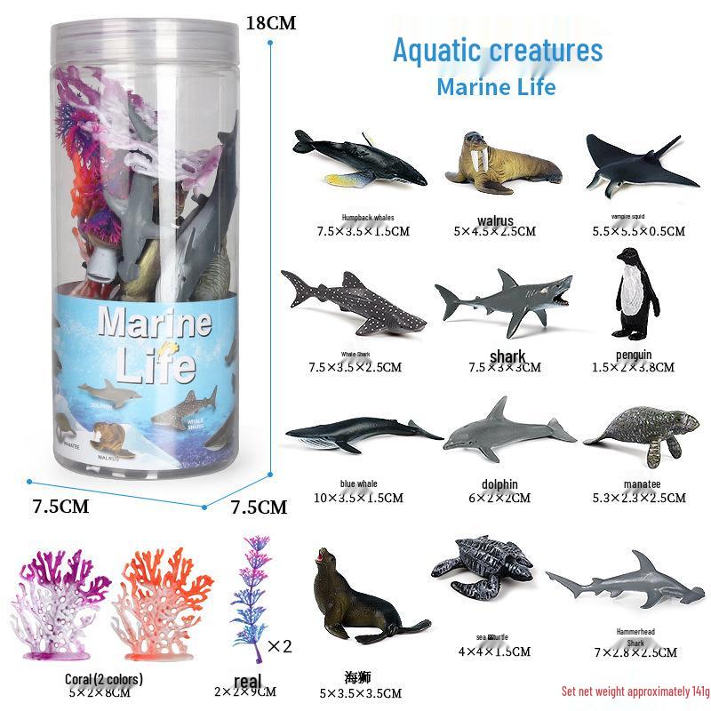 Pediatric Cognitive Simulation: Mini Salmon Growth Cycle Toy