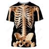 Men's Skeleton Internal Organ 3D Printed T-shirt, Short Sleeved T-shirt with Human Body Structure Diagram, Summer Fun T-shirt