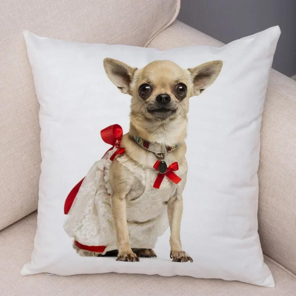 Lovely Pet Animal Pillow Case Decor Cute Little Dog Chihuahua Pillowcase Soft Plush Cushion Cover for Car Sofa Home