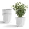 Hexa Kunststoff-Blumentopf mit Drainagelöchern Runder Pflanztopf Geeignet für Innen Außen Küche Garten (Weiß, 12 Zoll - 6 Stück)
