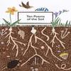 Dez Poemas da Terra por Vários Autores Livro de Bolso 9781913627041