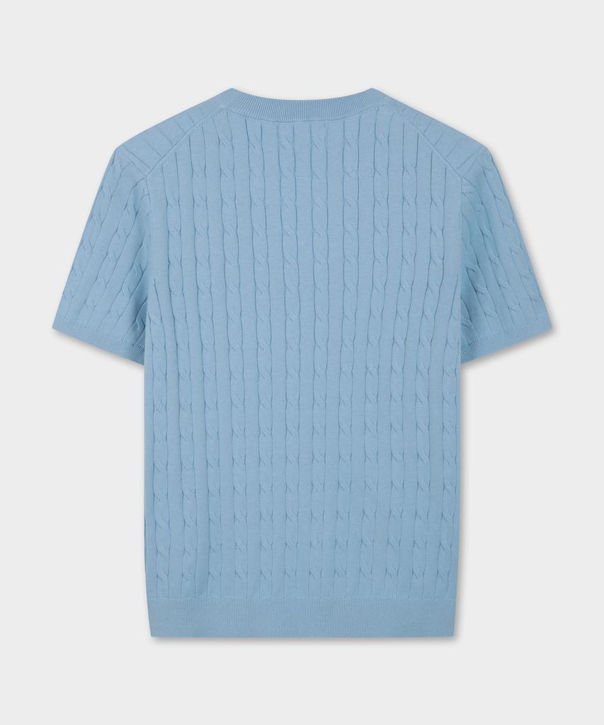 BROOKS BROTHERS Cotton Cable Crew Neck Short Sleeve Sweater (Blue) (Bbwrmog203)