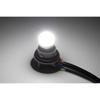 Kijima Motorcycle Tail Light Socket Assembly with LED Bulb Set DC12V 3.1W/0.5W White HD-013919 Replacement for OEM 69187-03