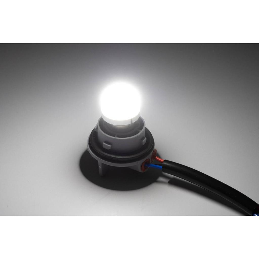 Kijima Motorcycle Tail Light Socket Assembly with LED Bulb Set DC12V 3.1W/0.5W White HD-013919 Replacement for OEM 69187-03