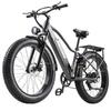 Electric Bicycle Adult Burchad Rx20 750W Peak Motor 26" Fat Tire All Terrain Electric Bike 7 Speed LCD Display 48V 20Ah Dual Disc Brakes Load 150Kg