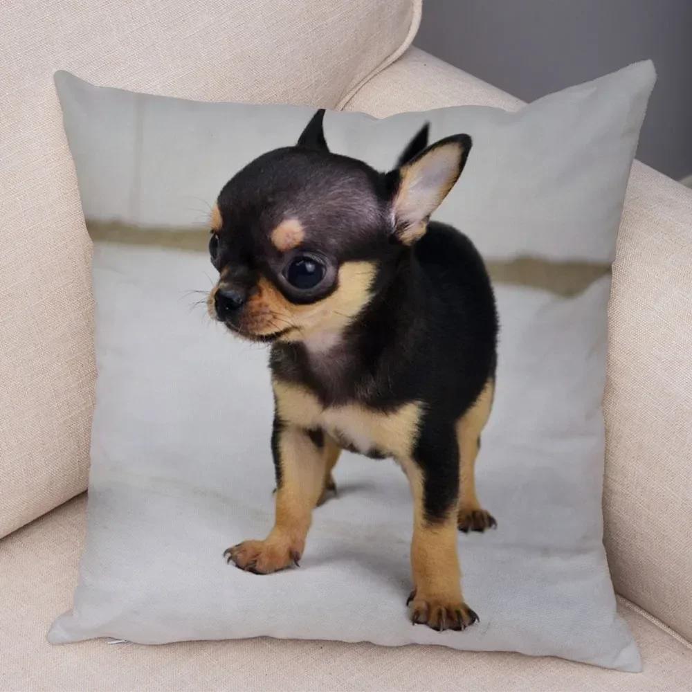 Lovely Pet Animal Pillow Case Decor Cute Little Dog Chihuahua Pillowcase Soft Plush Cushion Cover for Car Sofa Home