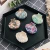 Headwear Ponytail Hairpins Shell Shape Shell Hair Clips Women Hair Accessories Acrylic Hair Claws