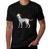 Dalmatian Dog Wearing A Blue Sweater Tshirt Simple Casual Short Sleeve Tee Tshirt