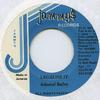 7-Zoll Schallplatte ADMIRAL BAILEY - Legalize It Jammys 1991 Jamaika Reggae, Ska & Dub