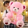 Niedlicher Bunter Schleifenbär Plüschpuppe Klein Umarmung Teddybär Stoffpuppe Valentinstag Geschenk