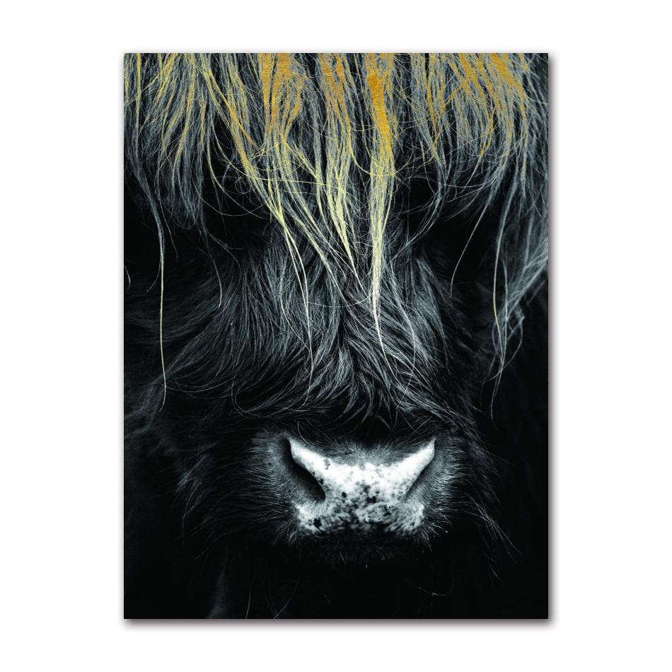 Cattle Print On Canvas Wall Art Pictures Animal Painting for Living Room Home Decor Modern Abstract Scottish Highlander