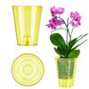 KADAX Vazonėlis Orchidėjų Vazonas Skaidrus 12cm vazonėlis