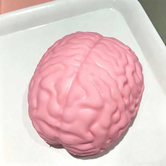 1/2Pcs Giant Simulation Brain Squeeze Toy Stress Relief Pink Brain Sensory Toy Decompression Slow Rising Realistic Brain Fidget Toy