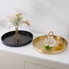 Iron Art Snack Plate Organize Storage Tray Multipurpose Metal Pallet Decorative Solid Color Display Home Supplies