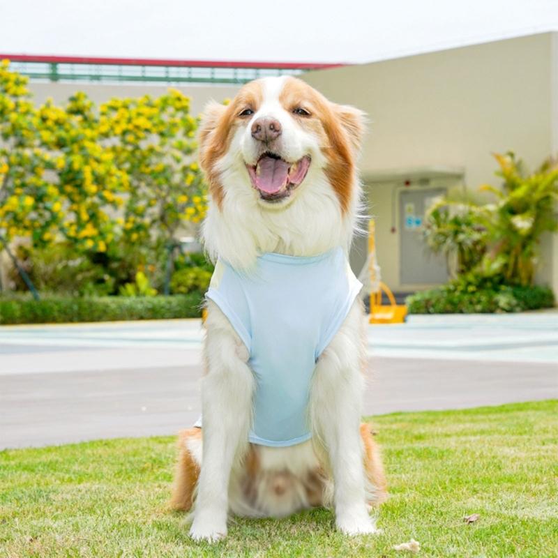 Comfortable Cooling Vest For Dog Cats Breathable Design Loose Clothes For Small To Large Breeds Pet Summer Wear