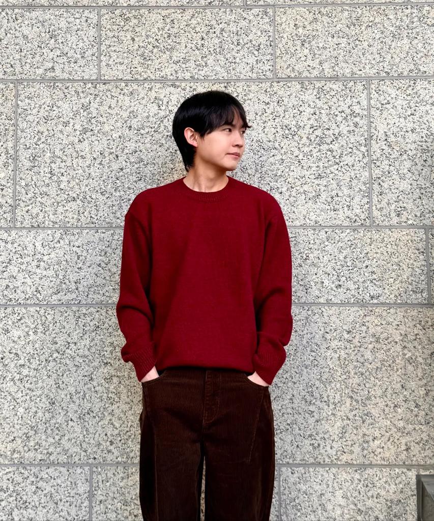 Nodeun Soft Wool Blend Crop Knit - 11Color (A Type)
