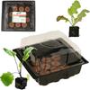 EDA8549 MINI GREENHOUSE GERMINATION INSPECTION SEEDLING SPROUT 12 Cells + Discs