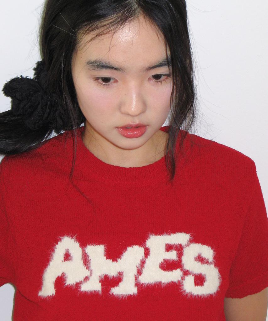 AMES-WORLDWIDE Hairy Logo Short Sleeve Knit Red