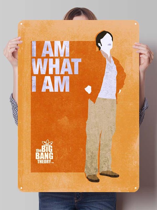 The Big Bang Theory Tv Shows Metal Posters Decor for Room Decoration Custom Metal Signs Tin Plaques for Wall Art Decoration Home