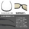 Polarized Sunglasses TLX 025 TrueView Sport [Daiwa]