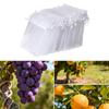 100 peças Saco de Proteção para Frutas Sacos de Proteção Respiráveis para Frutas Para Uvas Figos Para Saco à Prova de Insetos Sacos Protetores de Malha Respirável