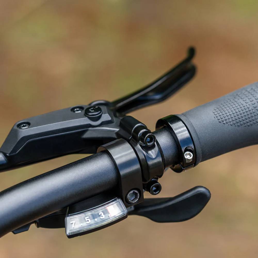 ENGWE EP-2 3.0 Boost Elektrisches Fahrrad für Erwachsene 250W Motor 48V13.5AH Batterie 20" Fett All-Terrain-Reifen Faltbares Elektrisches Fahrrad