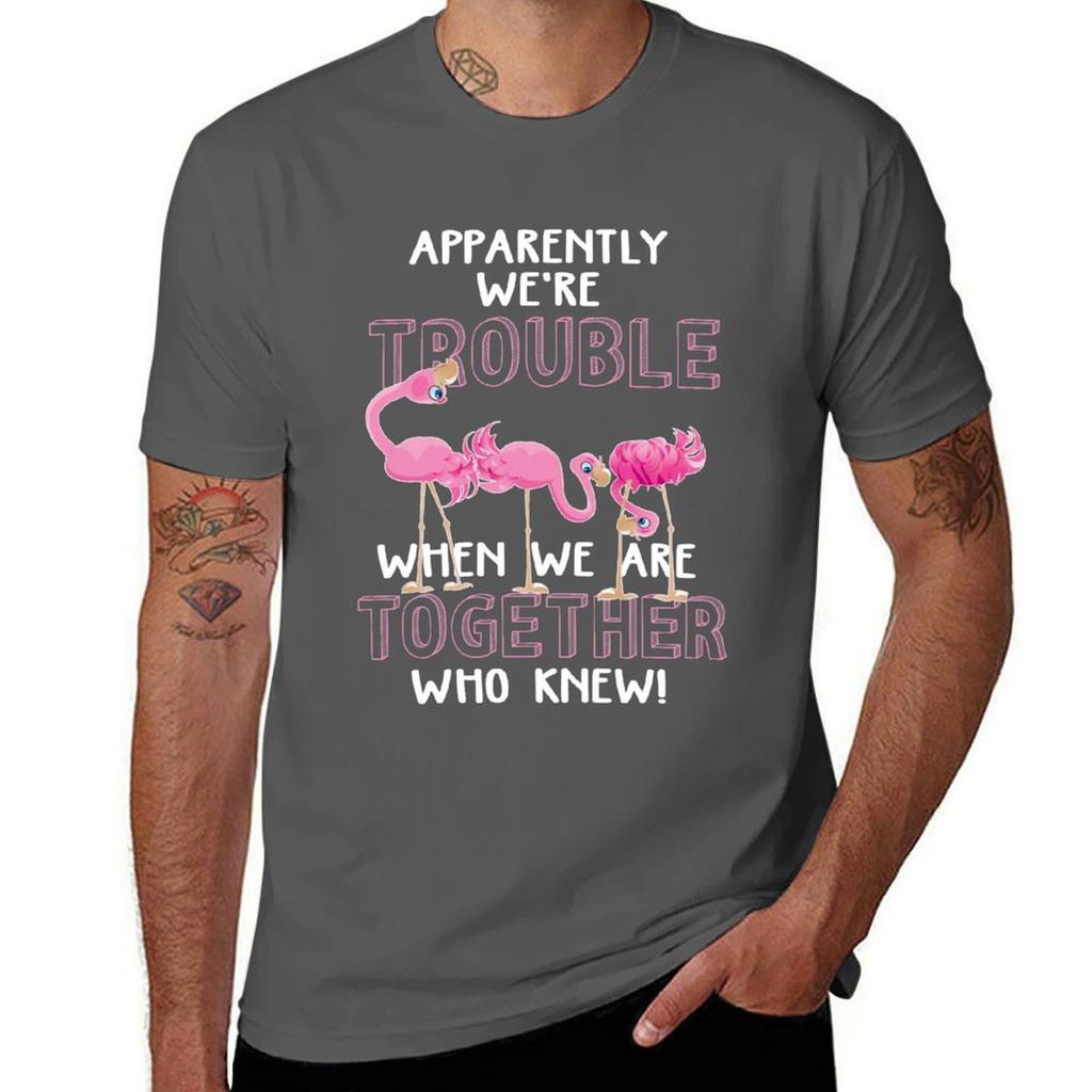 Apparently Were Trouble When We Are Together Flamingo Tee Shirt TShirt Trendy Casual Short Sleeve Shirt