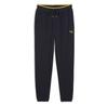 Puma Road To Unity Sweat Брюки