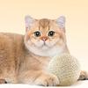Cat Toys for Teething Biting Natural Sisal Toy for Indoor Cats & Kittens