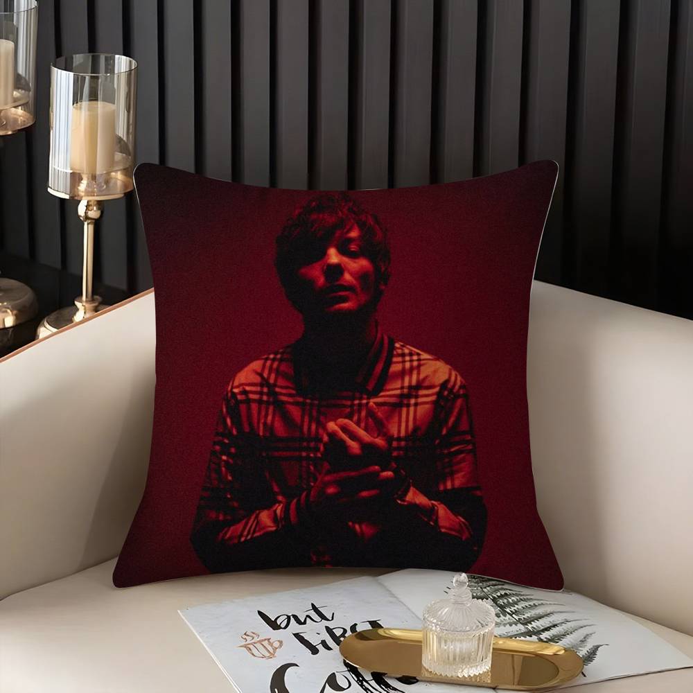Louis Singer Tomlinsons Pillow Case Home Dorm Chair Back Short Plush Double-Sided Printing Office Nap Time Cushion Cover