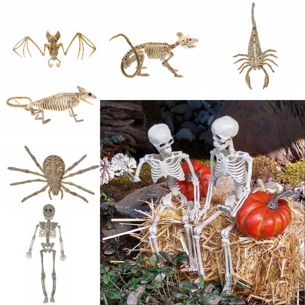 Human Bones Halloween Bats Skeleton Skeleton Model Animal Model Halloween