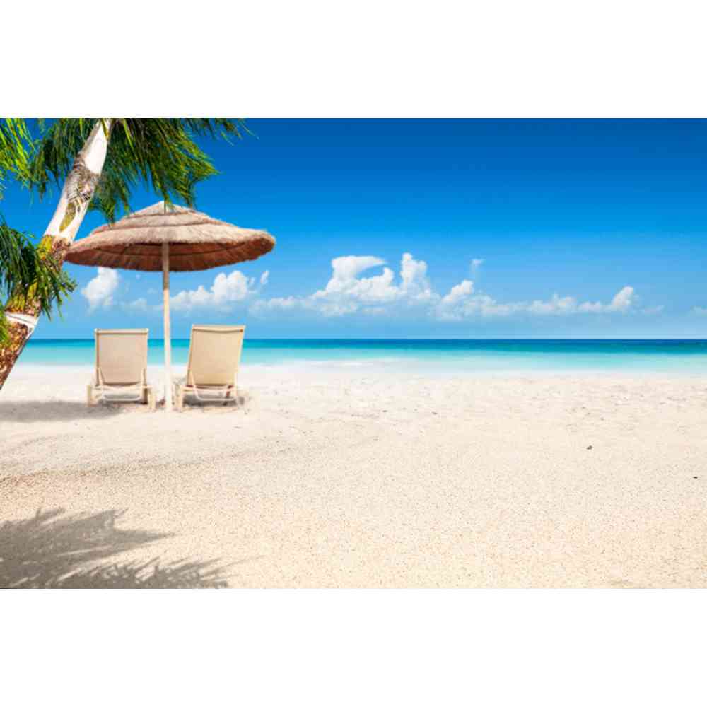 Summer Beach Waves Palm Trees Blue Sky Sunrise Ocean Theme Backdrop, Birthday Party, Home Decoration Photography Backdrop Cloth
