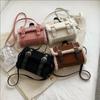 This Year's Popular Fashion Small Fresh Foreign Style Handbag 2025 Autumn and Winter New Women's Bag Single Shoulder New Small Bag