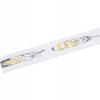 Decorative Washi Tape Feathers X 5 Meters