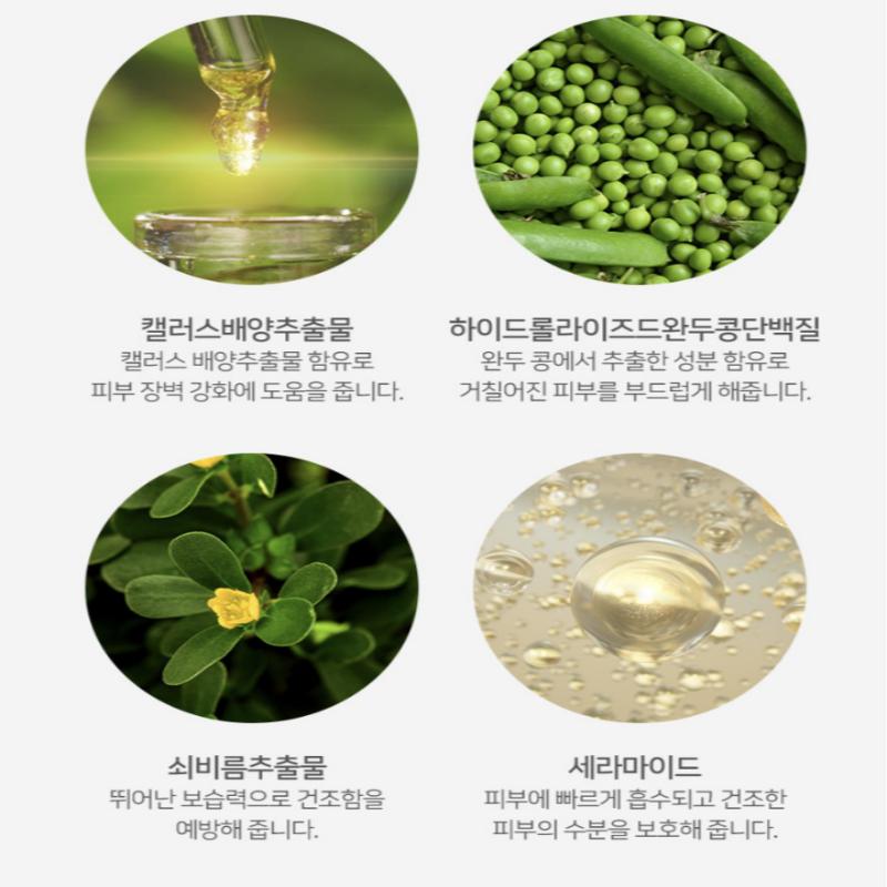 RONAS Stem Cell Solution 5mlX10ea