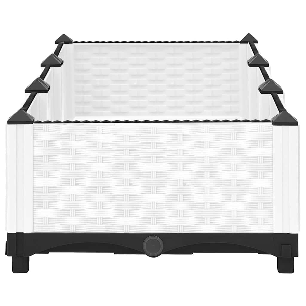 Raised Garden Bed 120 x 40 x 23 cm Polypropylene