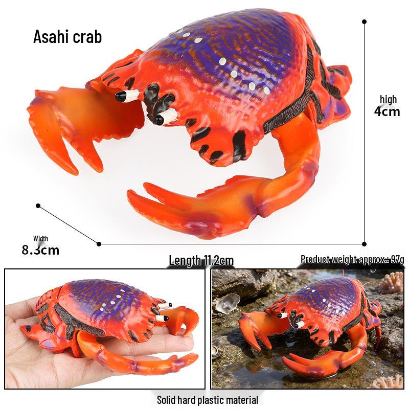 Ocean Crab Simulation Toy Set: Includes Hermit, Swimming, and Three-Spot Plastic Models