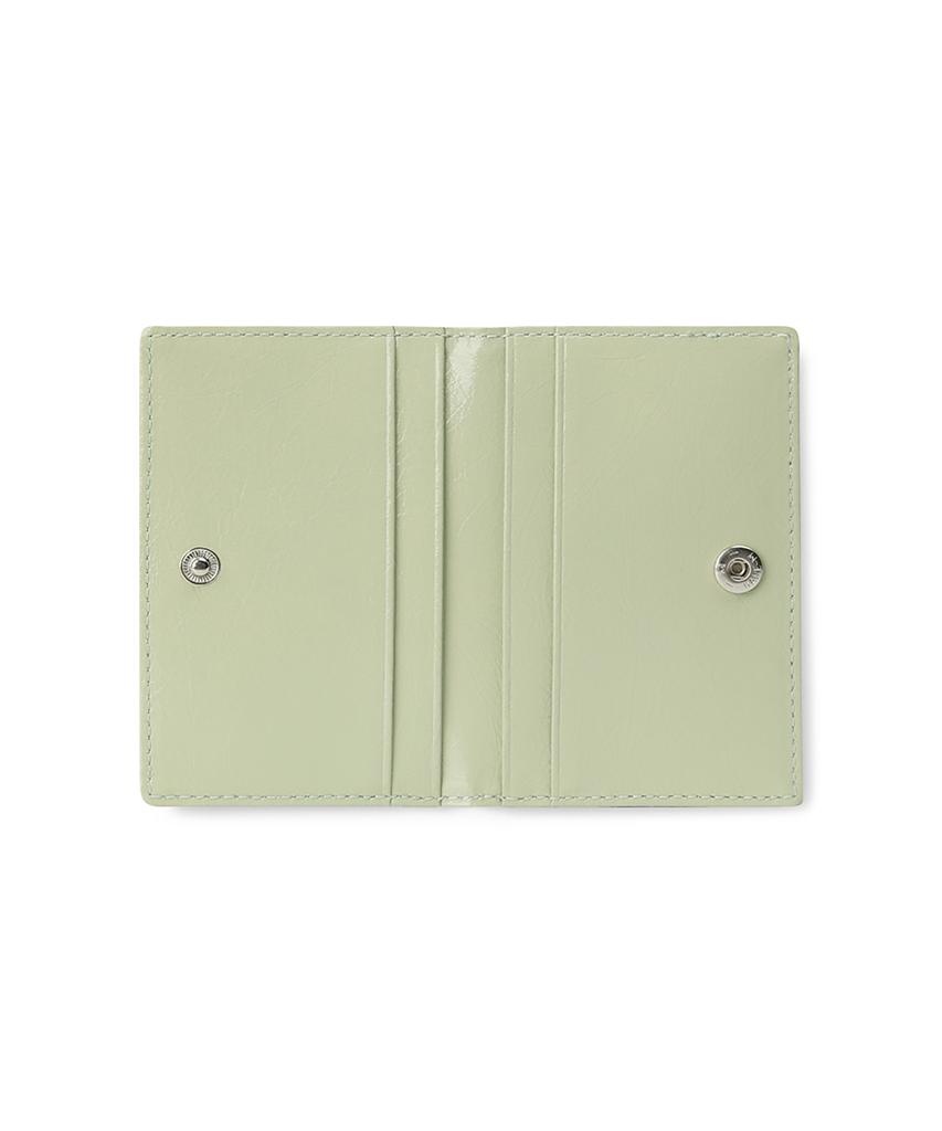 Fennec Crinkle Soft Card Case - Pistachio