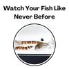 Aquarium Underground Tunnel Cave Natural Curve Two Hole Viewing Fish Shrimp Hideout
