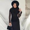 2025 European Style Elegant Mesh Slimming Women's Long Bodycon Dress