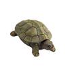Turtle Figurine Statue Jewelry Box Necklace Earrings Bracelets Decor Holder Beautifully Crafted